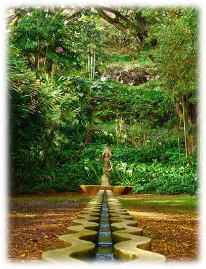 Hawaii Botanical Gardens 