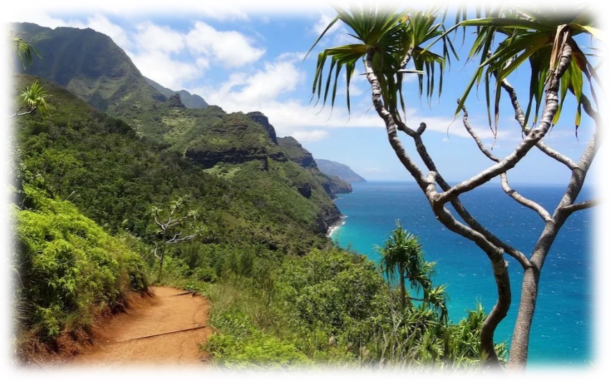 Kauai Concierge Bay view