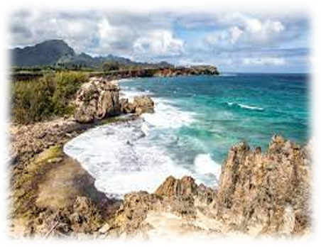 Kauai concierge services beach 