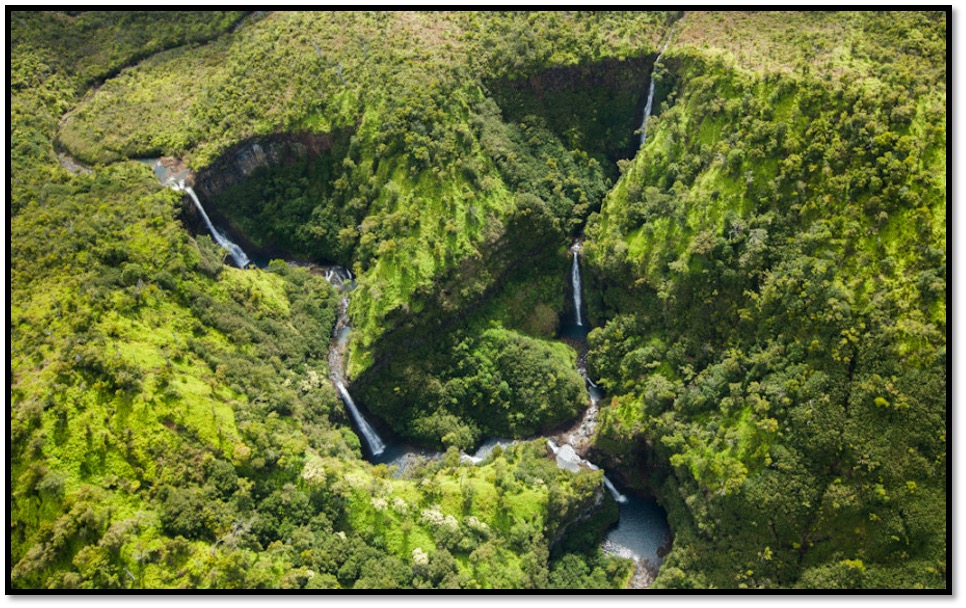 Kauai's Natural Landmarks The garden isle