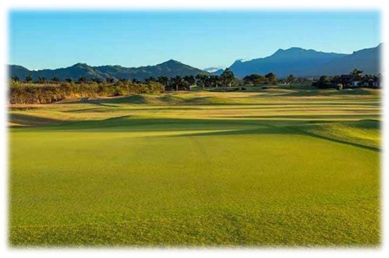 Kauai Golf Courses Kiahuna Golf Club